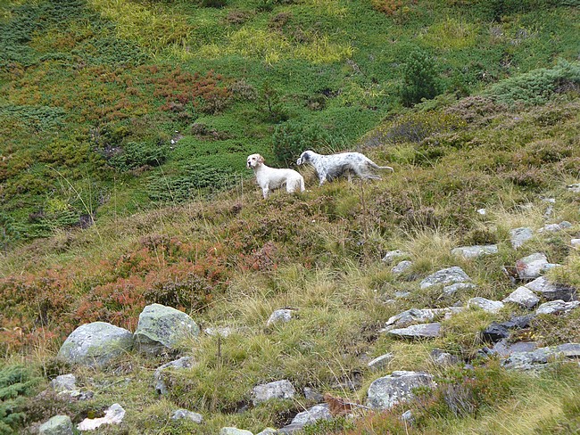 Nouvelles photos Dossier 2