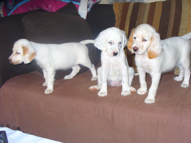 Photos des bébés