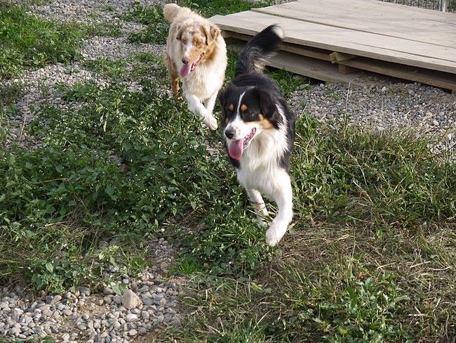 Jump Jena Janis Houchka