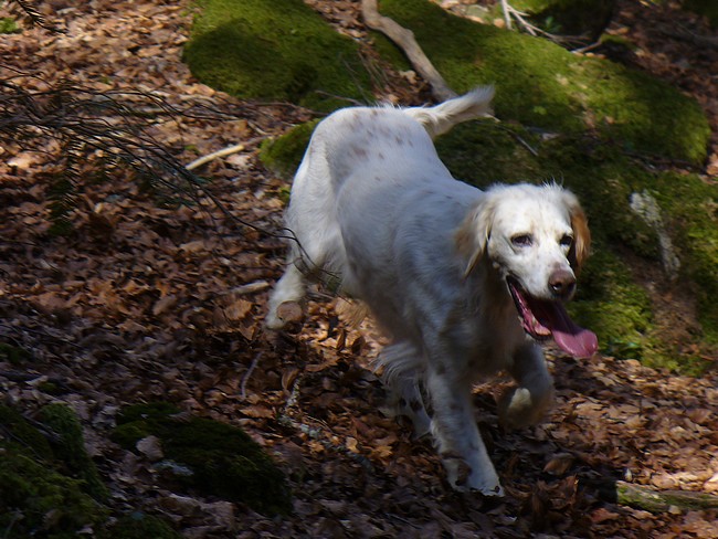 Nouvelles photos Dossier 1