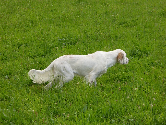 Entrainement de Flash pour le TAN