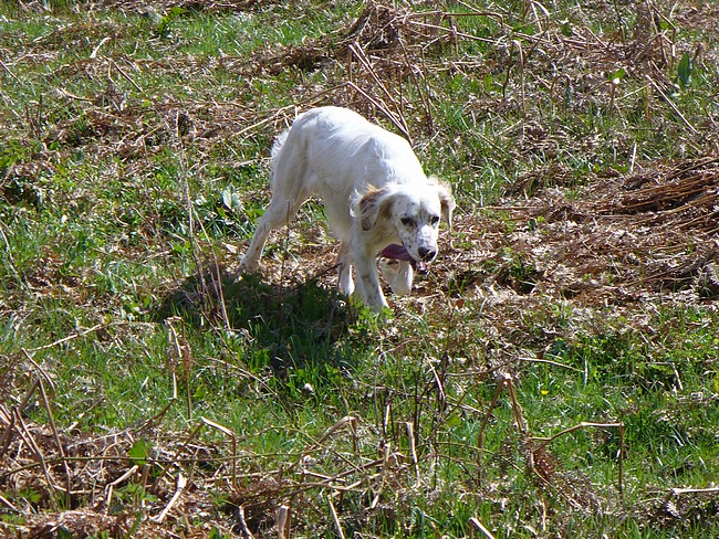 Dernières photos